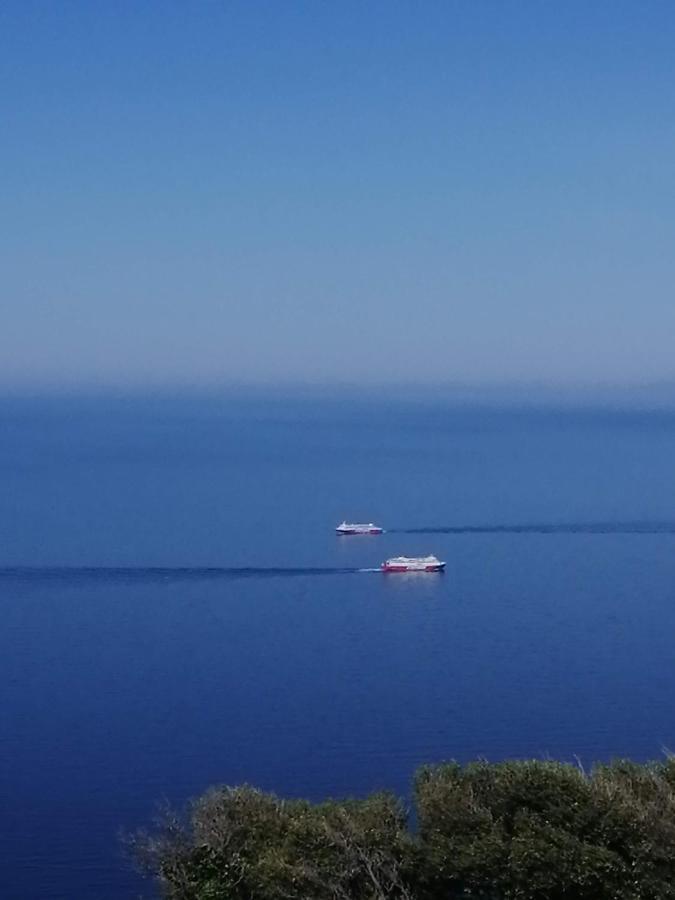 Апартаменти Aegean Deep Blue Andros Ano Aprovato Екстер'єр фото